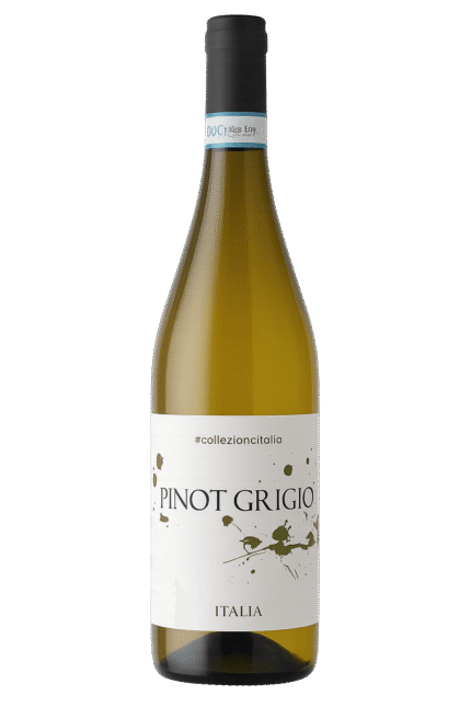 Pinot Grigio DOC – Collezione Italy 750ml – A Elegância Italiana em Cada Taça