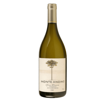 Monte Andino Gran Reserva – Um Brinde à Elegância Andina